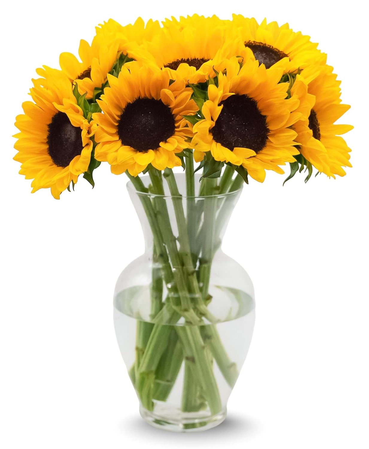 STARGAZER BARN 10 Stem Sunflower Bouquet (Vase Not Included) - Hand-Tied in the USA - Fresh Flower Delivery for Birthday, Anniversary, Sympathy, Home Decor, Wedding, Easter
