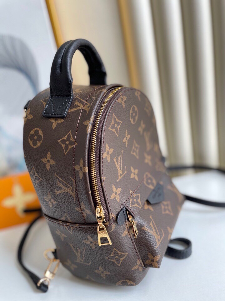 Louis Vuitton Palm Springs Backpack Mini Monogram Canvas – 17cm/6.7in