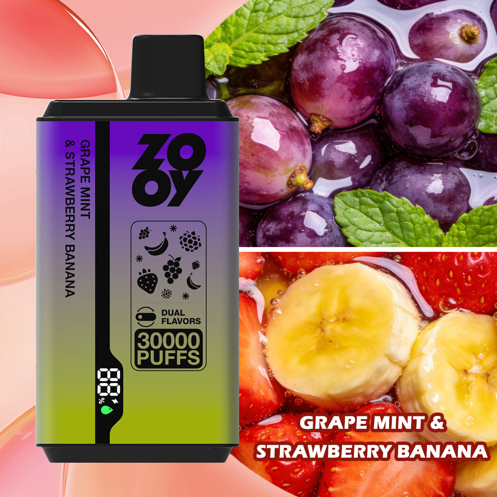 ZOOY Twins 30000 PUFF