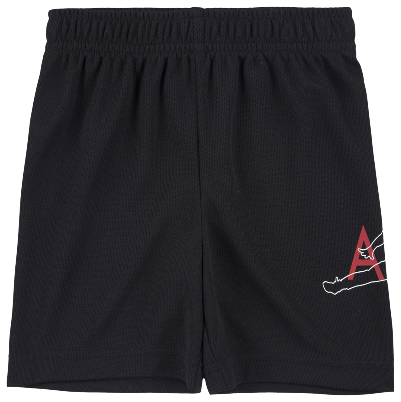 Jordan Big Air Mesh Shorts