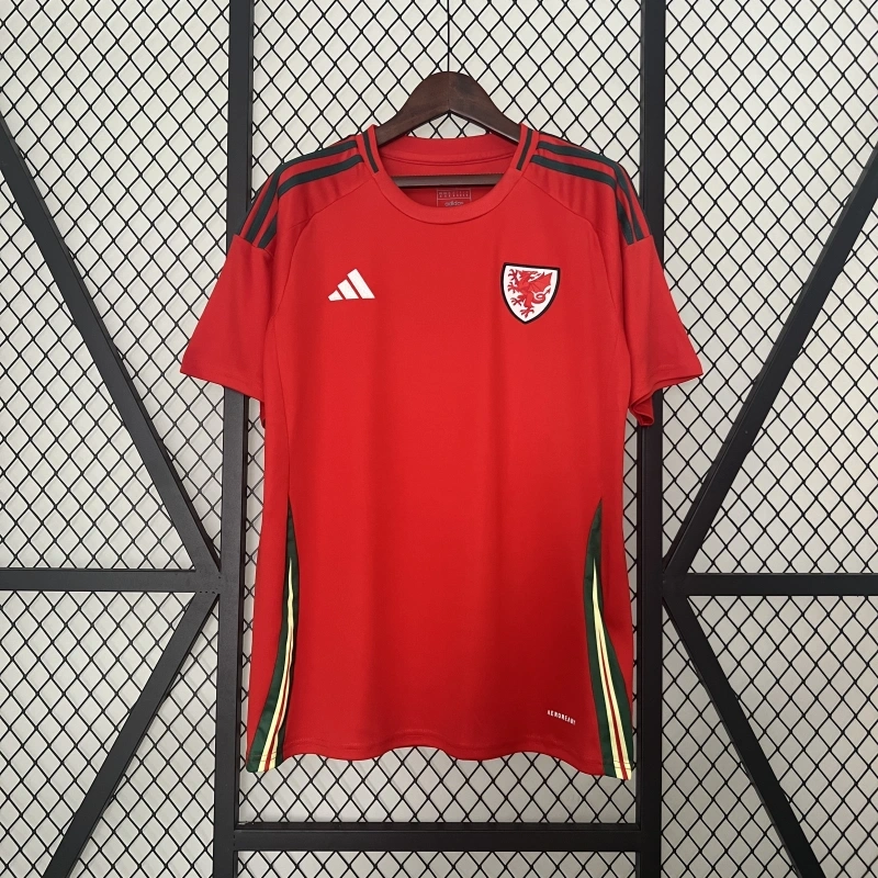 2024-25 Wales home fan version football jersey
