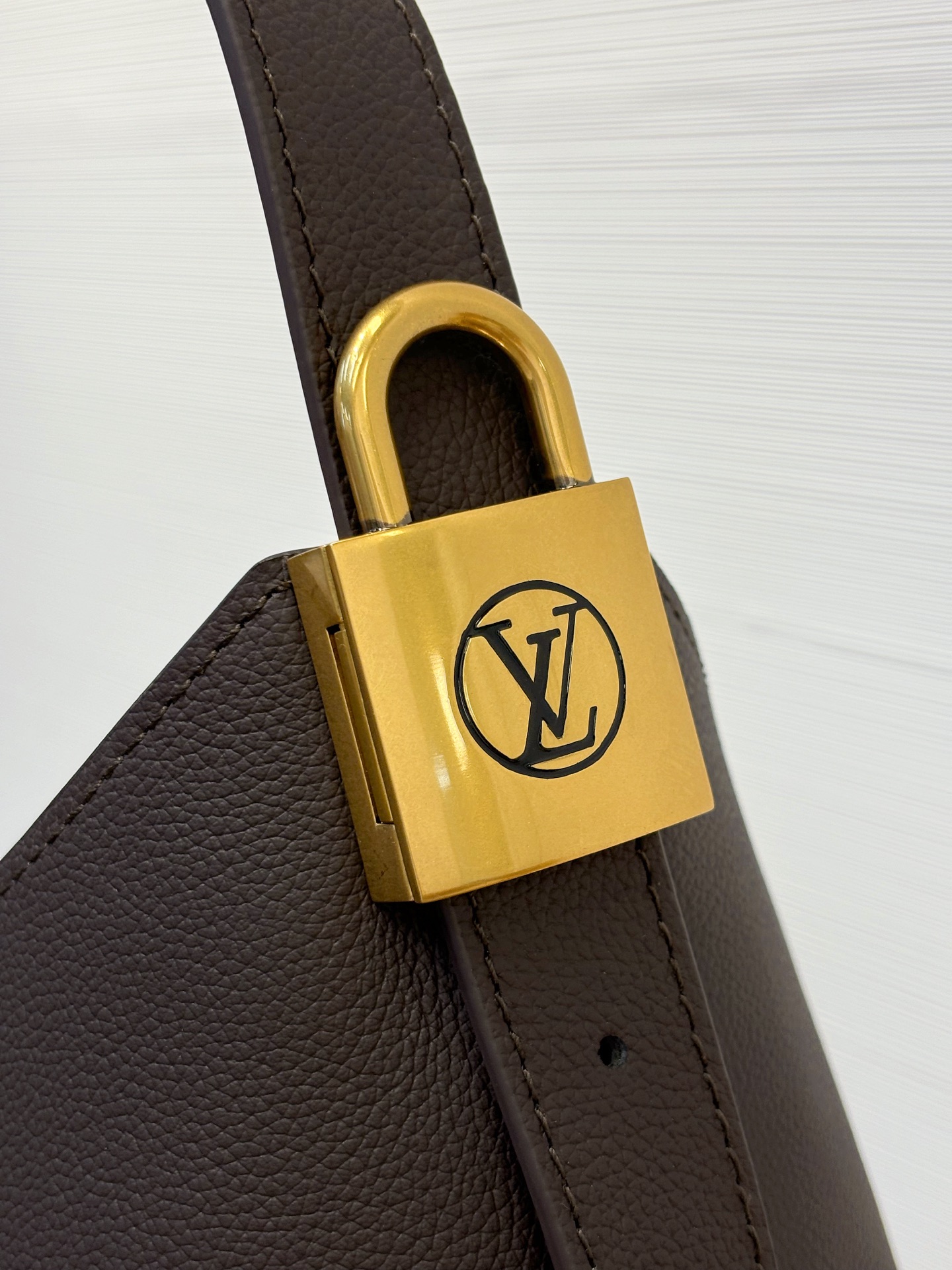 Louis Vuitton Low Key Hobo MM 35cm/ 13.8in