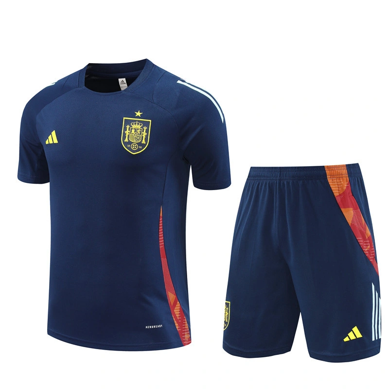 2024-25 Spain Short-sleeved training clothese