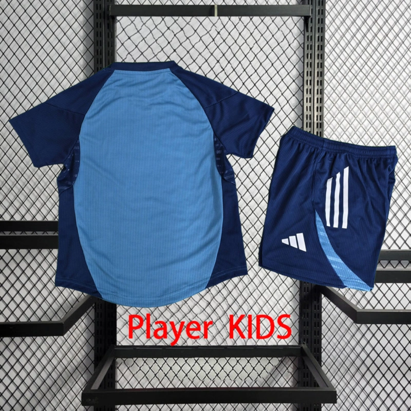 Player 2025-26 Arsenal Special Edition Kids football jersey Player KIDS