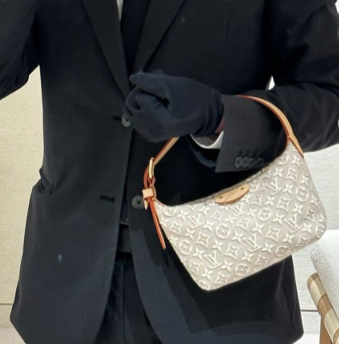 Louis Vuitton Pochette Hills Monogram Emblème Pattern In Peuplier Color 18.5cm M29879