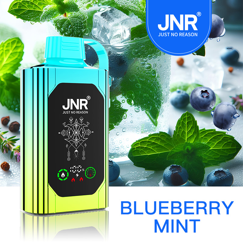 JNR Shisha Hookah Box 30K Disposable Vape