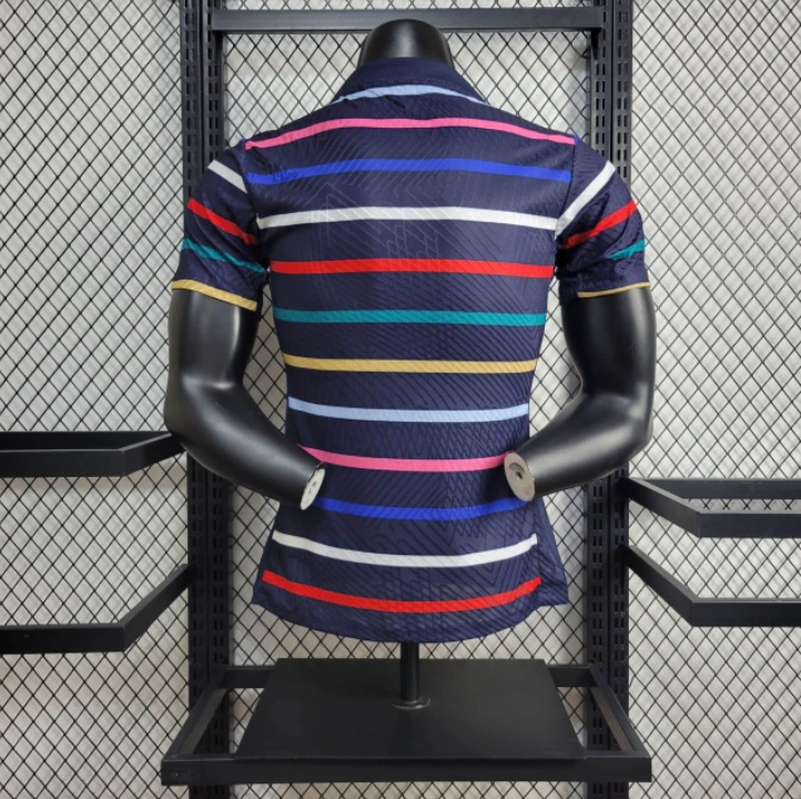 Player 2024-25 France Training Football jersey