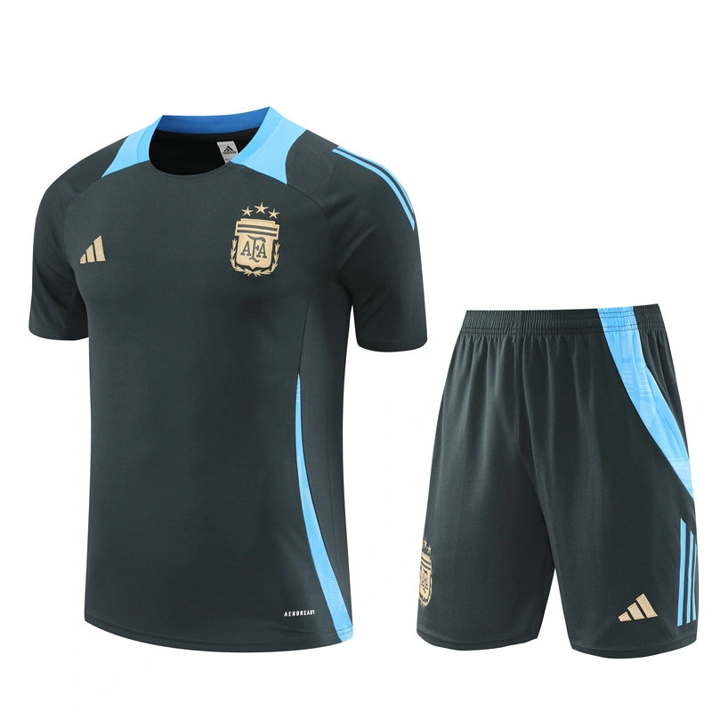 2024-25 Argentina Short-sleeved training clothese