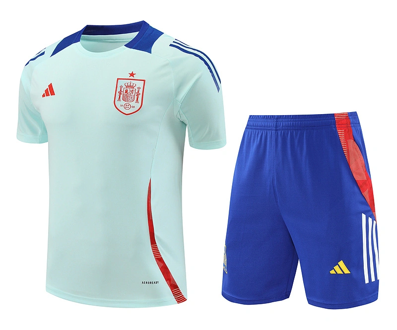 2024-25 Spain Short-sleeved training clothese