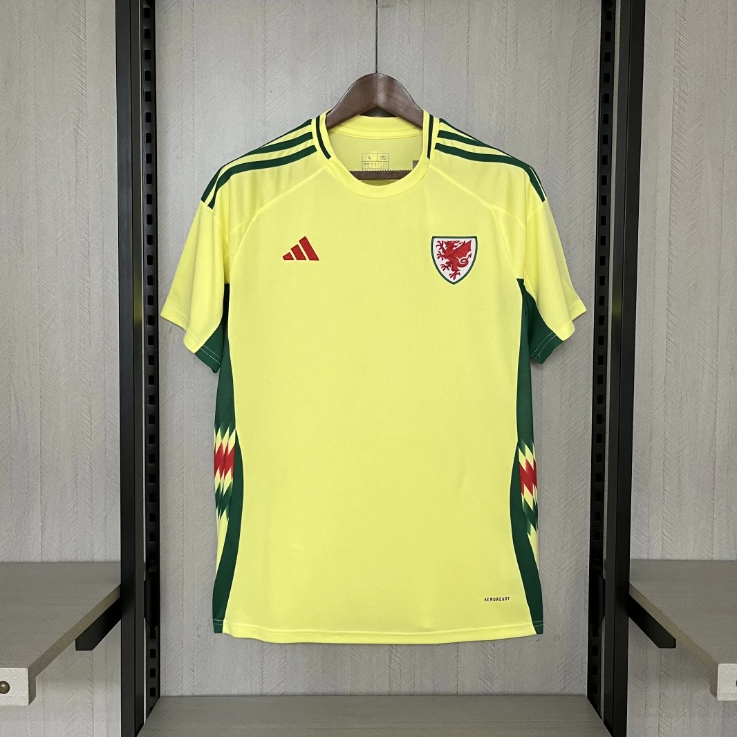 2024-25 Wales Away Football jersey
