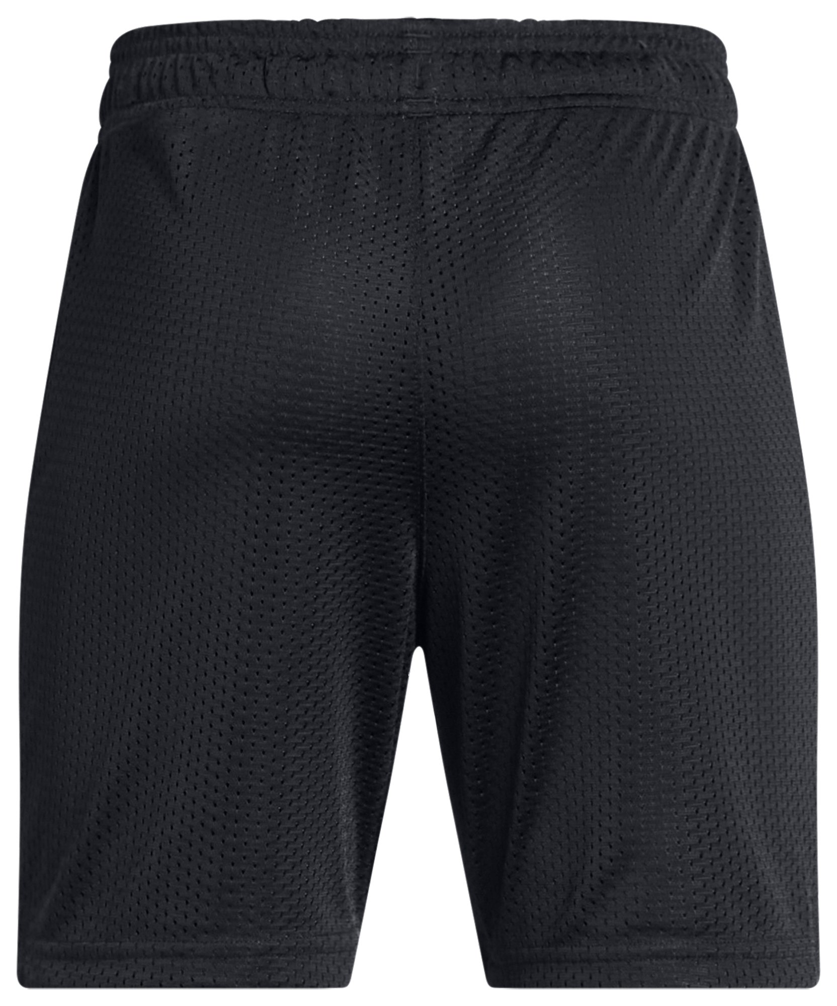 Under Armour Icon Mesh Short