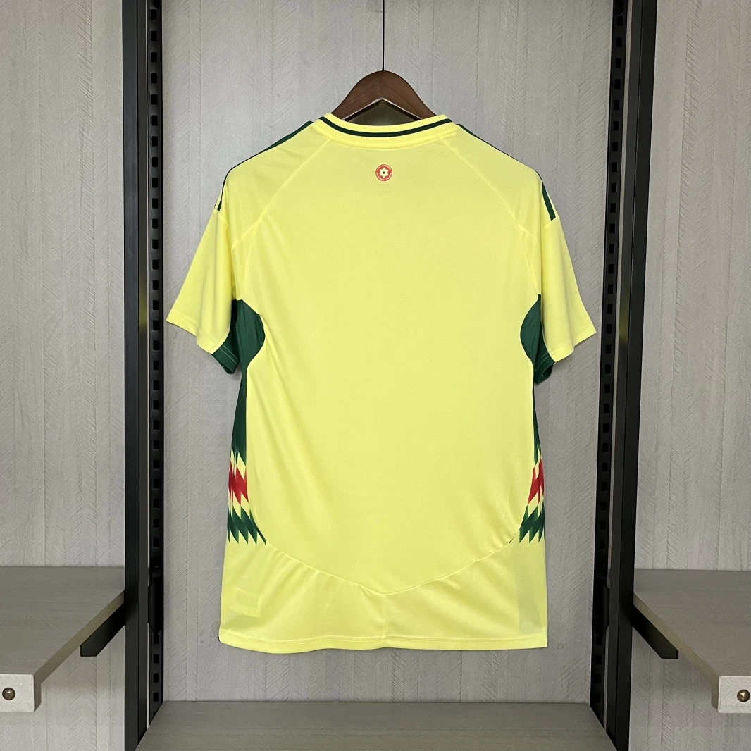 2024-25 Wales Away Football jersey