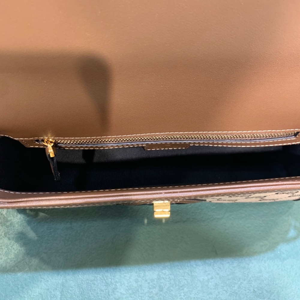 Gucci Luce Small Shoulder Bag Beige And Ebony 27Cm 786027 FADAC 9762