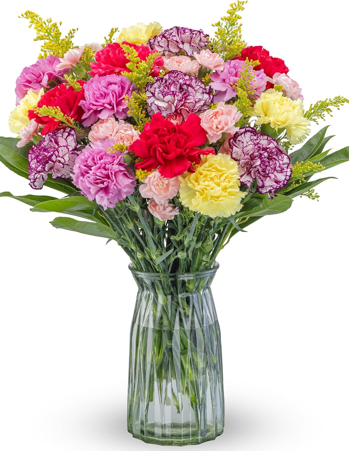 Benchmark Bouquets - Spring Carnation Mix - Fresh Flowers for Delivery - Easter Flowers - Get Well Gifts for Women - Yellow Purple and Pink Floral Bouquet - Glass Vase Included (26 Stems)