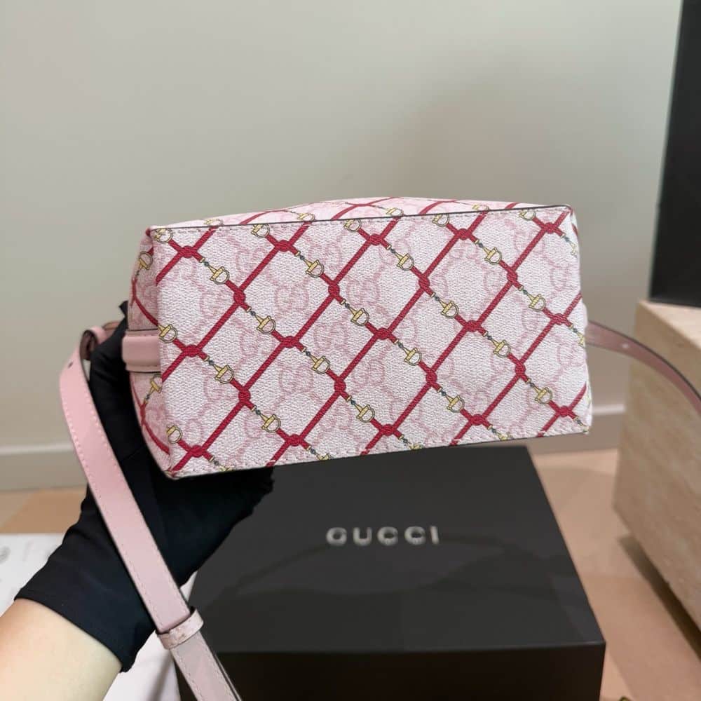 Gucci GG Emblem Small Bucket Bag Pink And Red 20Cm 815118 FAFF1 8649