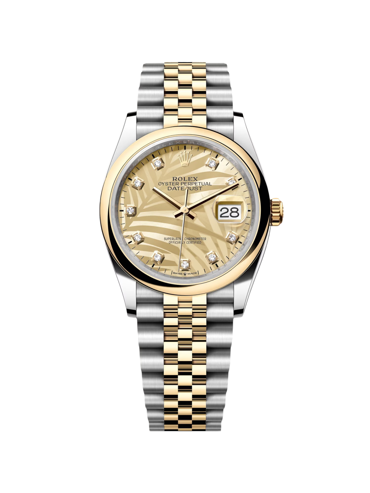 Rolex  Datejust 36mm 126203 Golden Palm Dial Domed Bezel Oyster Bracelet