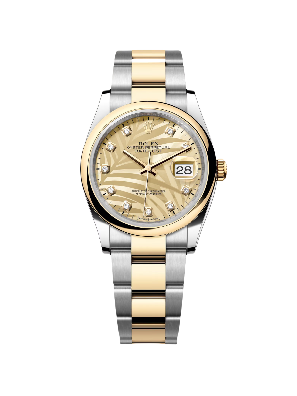 Rolex  Datejust 36mm 126203 Golden Palm Dial Domed Bezel Oyster Bracelet