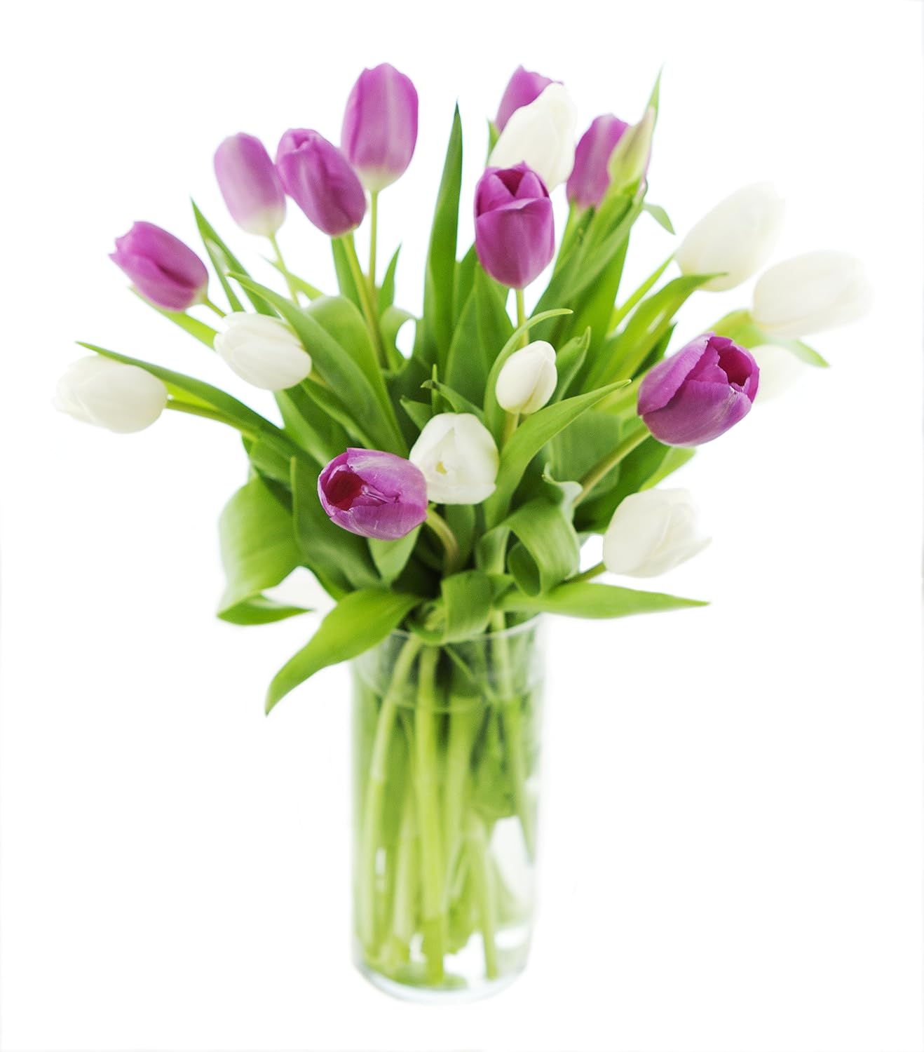 KaBloom PRIME NEXT DAY DELIVERY - Polka Dot Bouquet: 10 Purple Tulips and 10 White Tulips with Vase.Gift for Birthday, Sympathy, Anniversary, Get Well, Thank You, Valentine, Mother’s Day Fresh Flowers