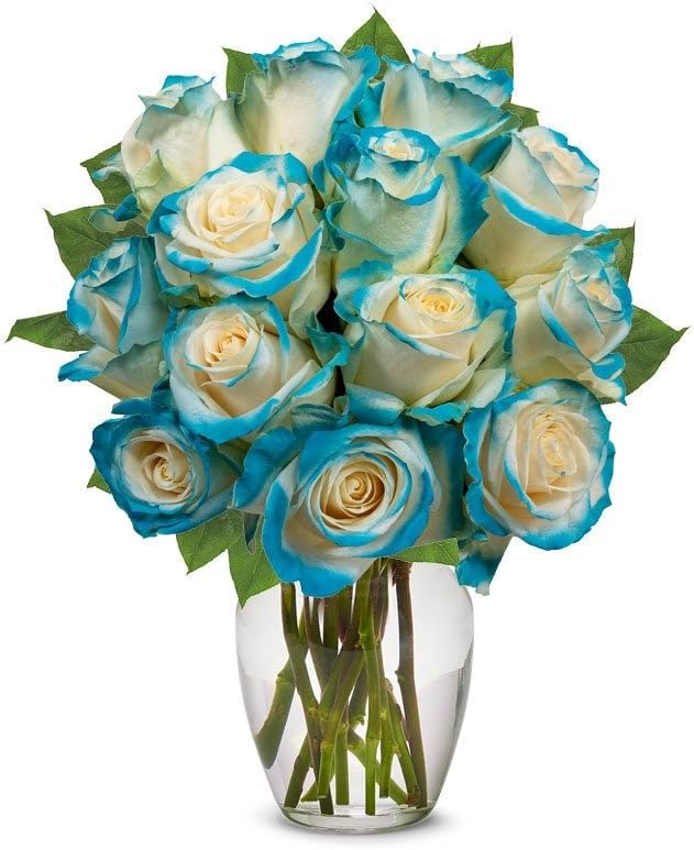 From You Flowers - One Dozen Aquamarine Roses with Glass Vase | Fresh Flower Bouquets for Birthday, Anniversary, Get Well or Celebration