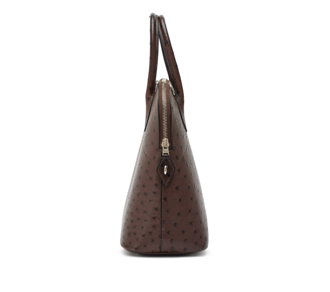 Marron Fonce Ostrich Bolide 31 Palladium Hardware