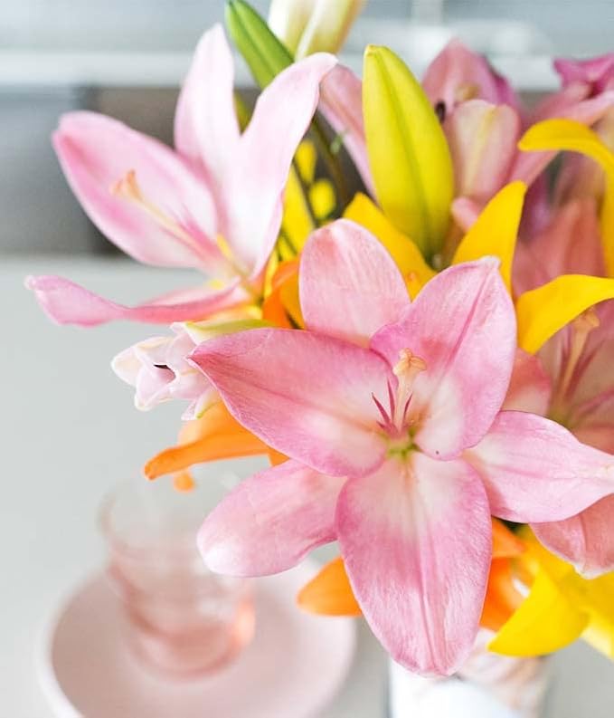 From You Flowers - Stunning Lily Bouquet with Glass Vase | Fresh Flower Bouquets for Birthday, Anniversary, Get Well or Celebration