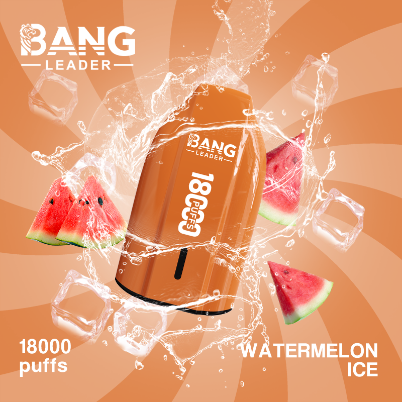 Bang Leader 18K Puffs Prefilled Vape |  Rechargeable