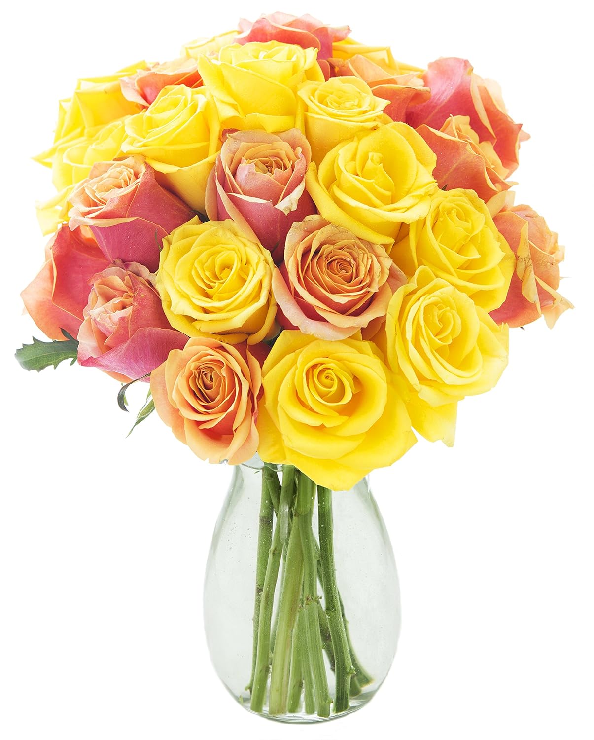 KaBloom - Citrine Orange and Yellow Roses (Two Dozen) With Vase - Fresh Flowers for Birthday, Valentine's & Mother's Day