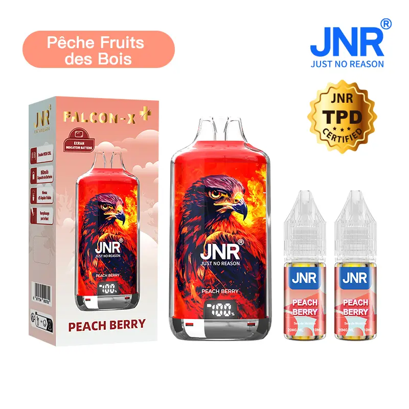 JNR Falcon X⁺ (Falcon X Plus) 28000 Puffs - Kit Pod Remplissable et Rechargeable