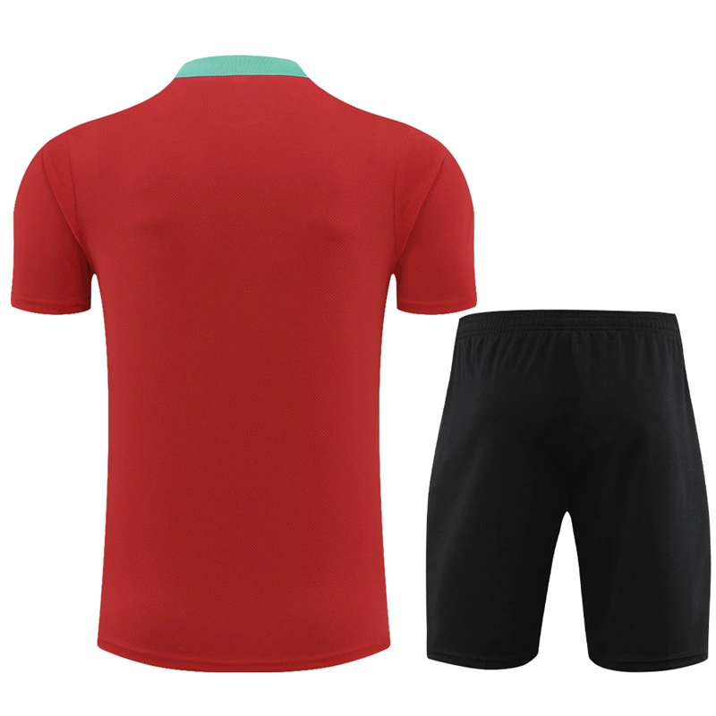2024-25 Portugal Short-sleeved training clothese