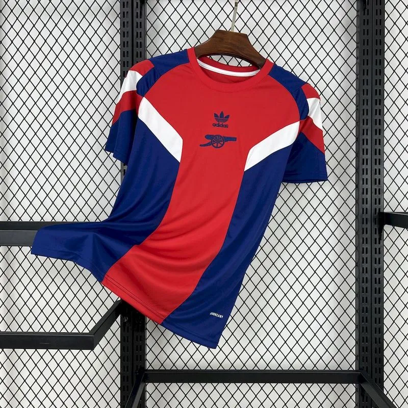 2024-25 Arsenal LIFESTYLER OGT  Football jersey