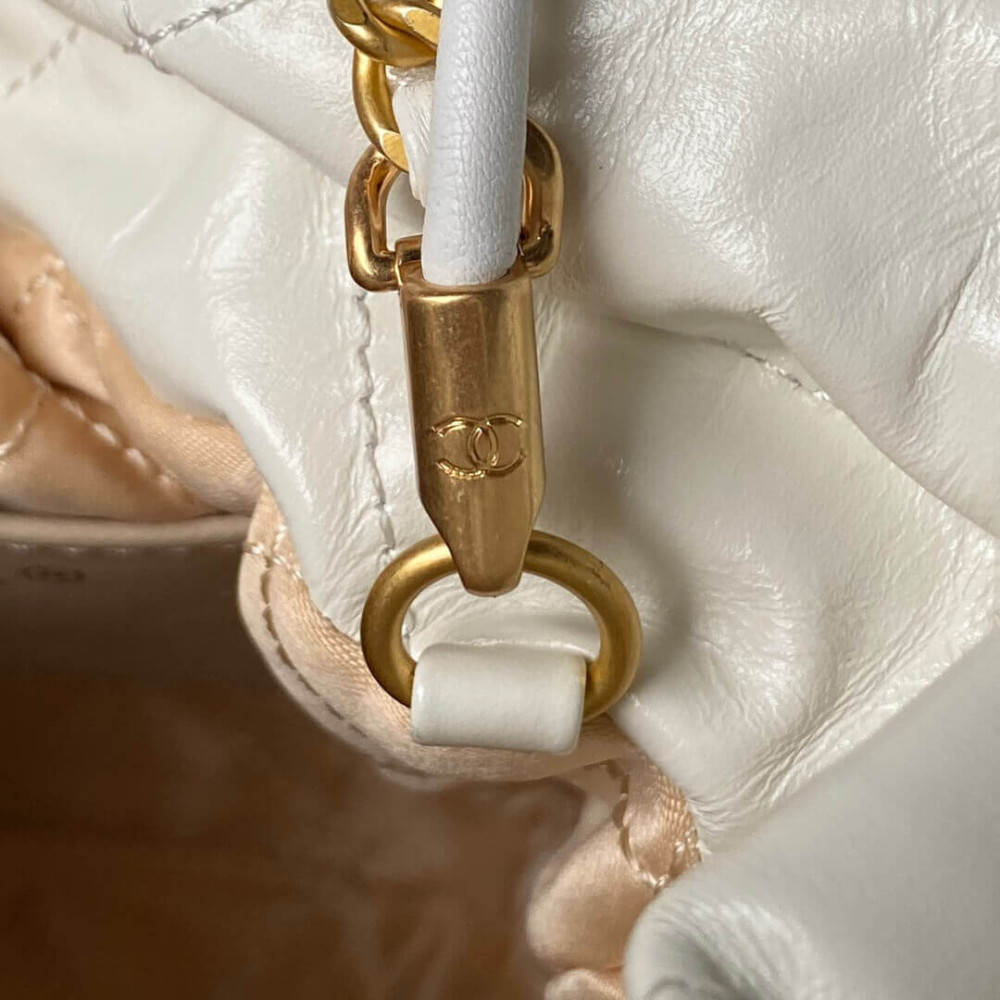 Chanel 22 Mini Bag in Shiny Calfskin