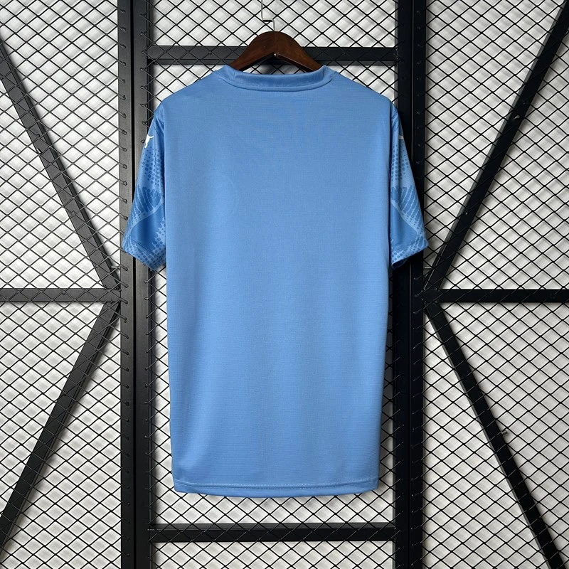 2025-26 Palmeiras Goalkeepe Football jersey