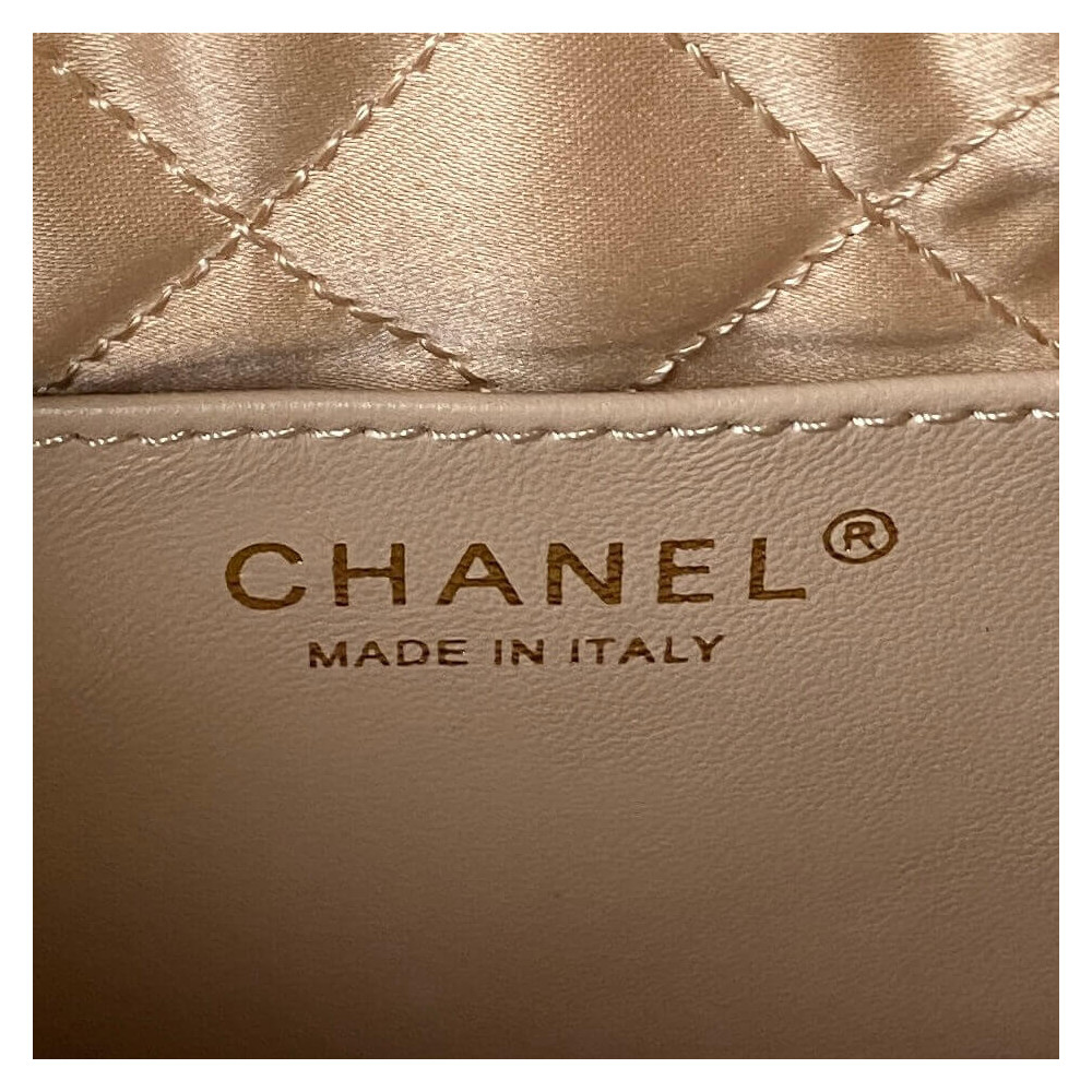 Chanel 22 Mini Bag in Shiny Calfskin