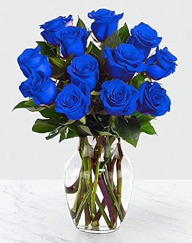 Farm Direct Fresh Blue Roses. | 24 Fresh Blue Rose Bouquet + Vase Included - Fresh Flowers Roses.