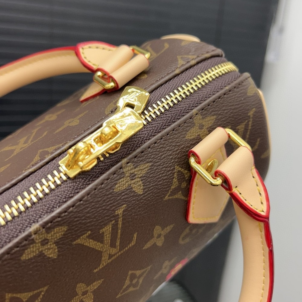 Louis Vuitton X Takashi Murakami Speedy Bandoulière 20Cm