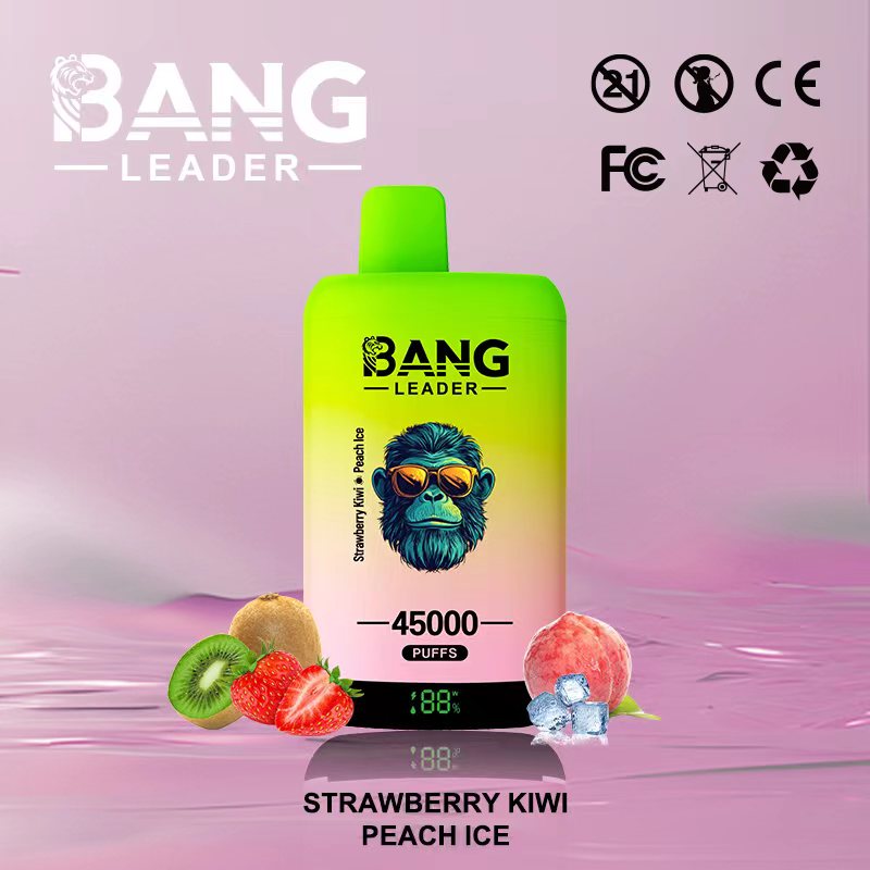 Bang Leader 45K Puffs 2-in-1 Prefilled Vape | Dual Flavor,  Rechargeable