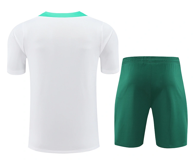 2024-25 Portugal Short-sleeved training clothese