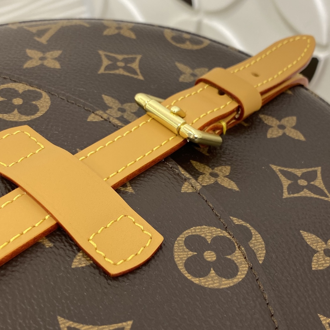 LOUIS VUITTON Monogram Saddle Bag M51233