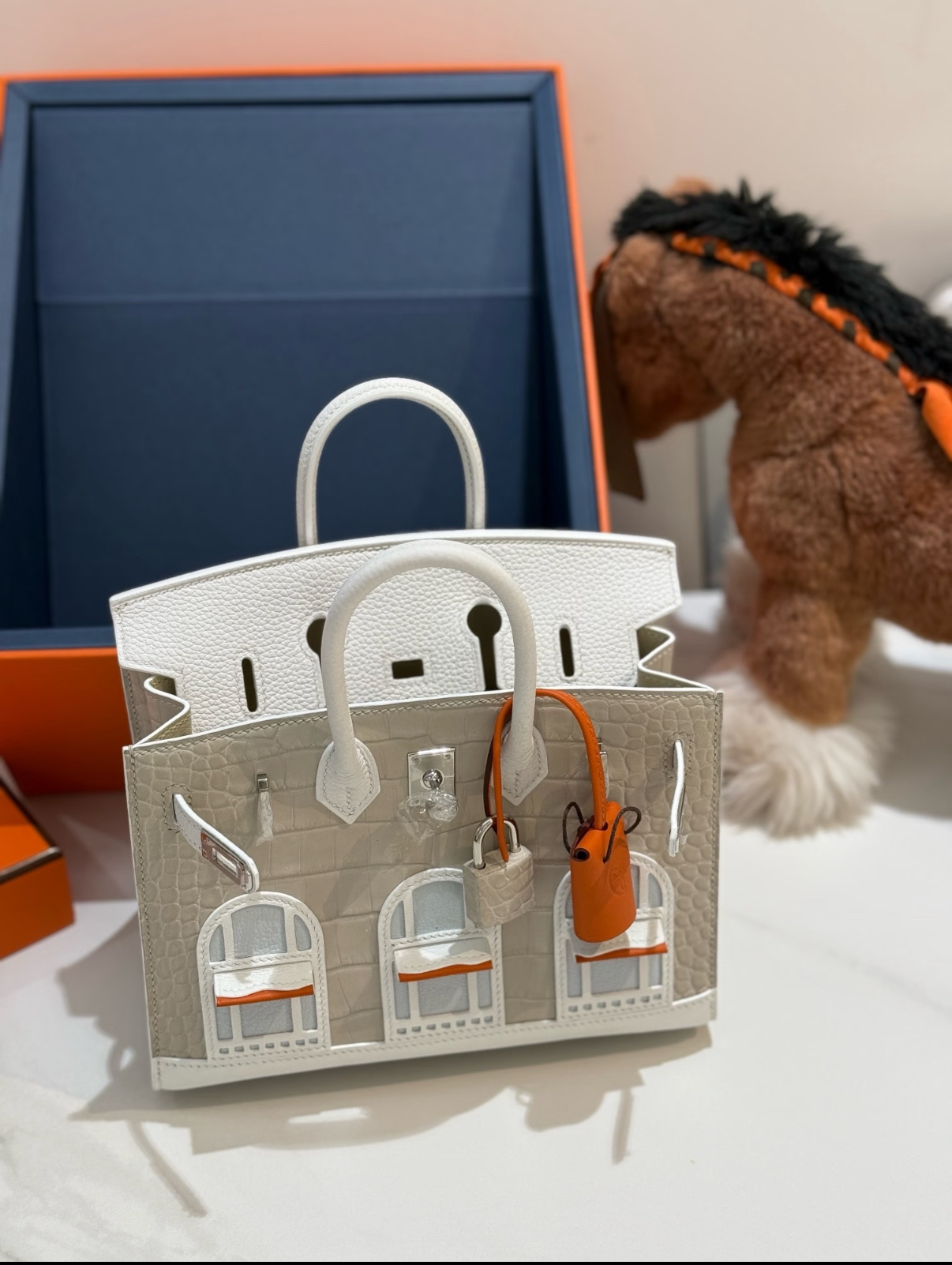 Birkin 20 Silver Buckle Platinum Bag