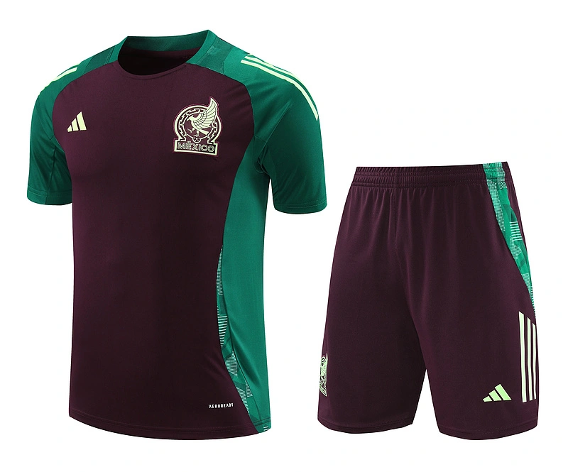 2024-25 Mexico Short-sleeved training clothese