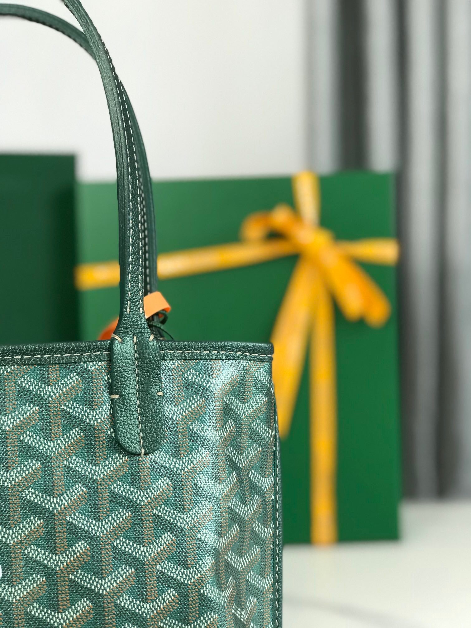 Goyard Anjou Mini Bag 20Cm Green Canvas Chevroches Calfskin