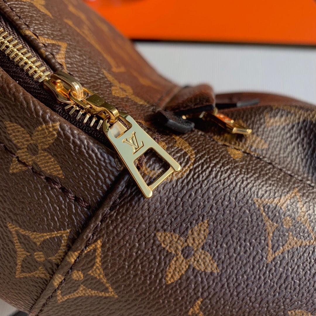 Louis Vuitton Palm Springs Backpack PM Monogram Canvas – 22cm/8.7in