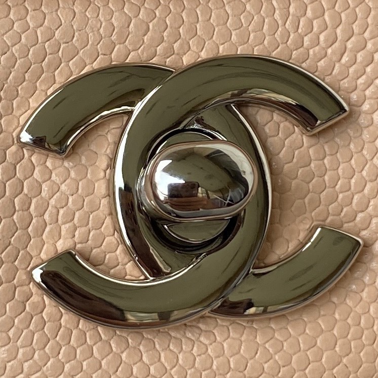 Chanel Classic Flap Bag-Nude