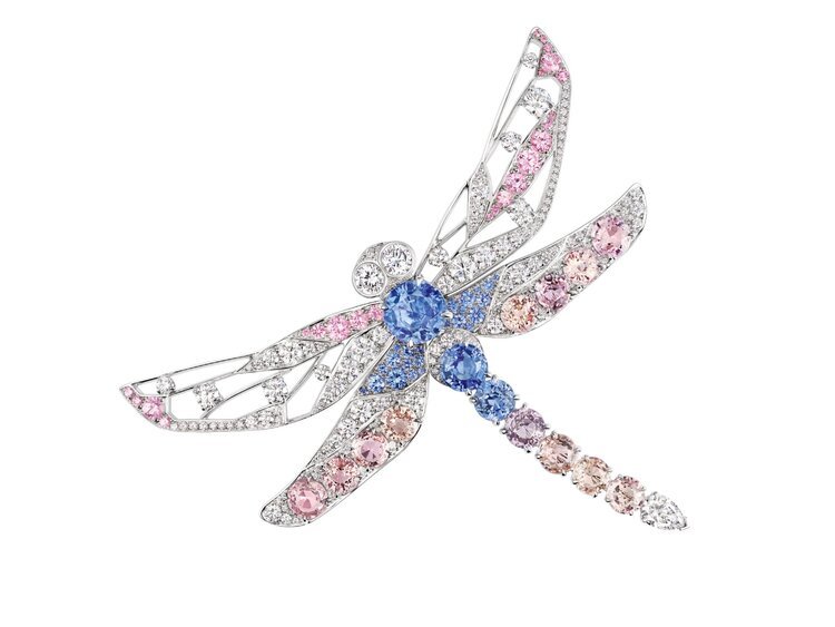 Dragonfly-themed brooch