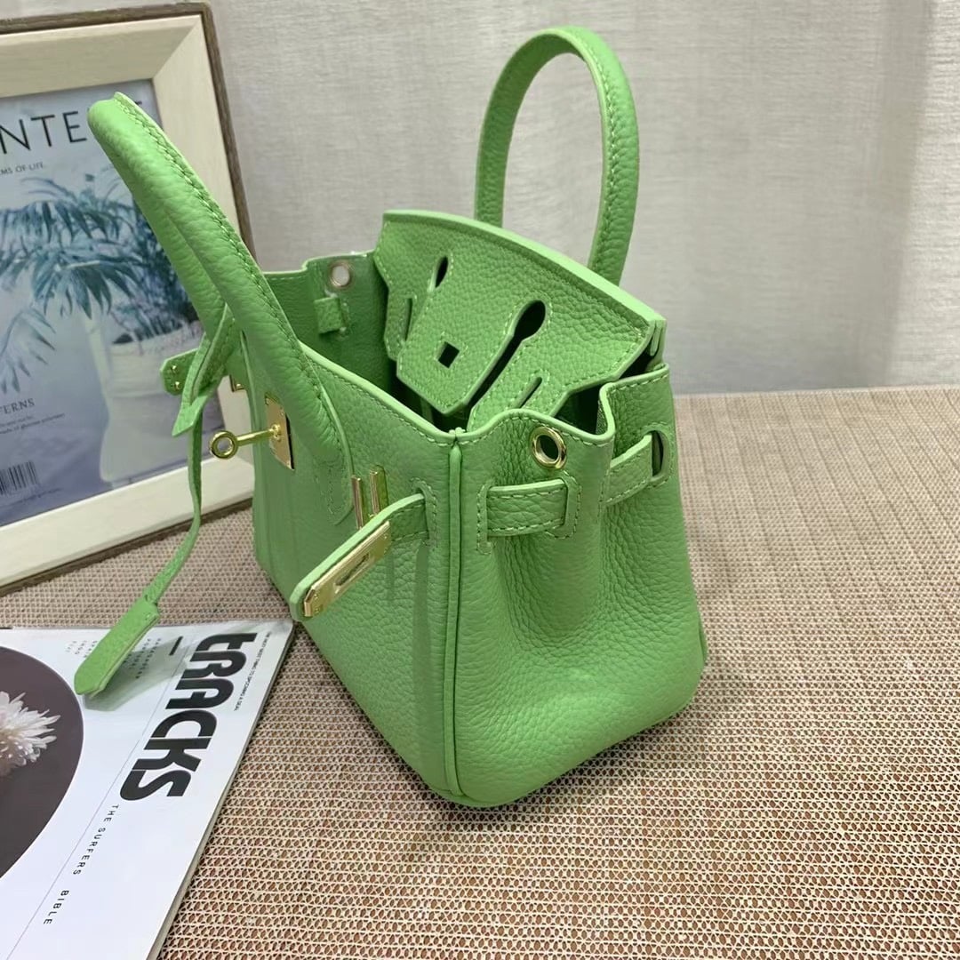 Hermès Birkin B25 Togo Grenat Ghw Green 20Cm