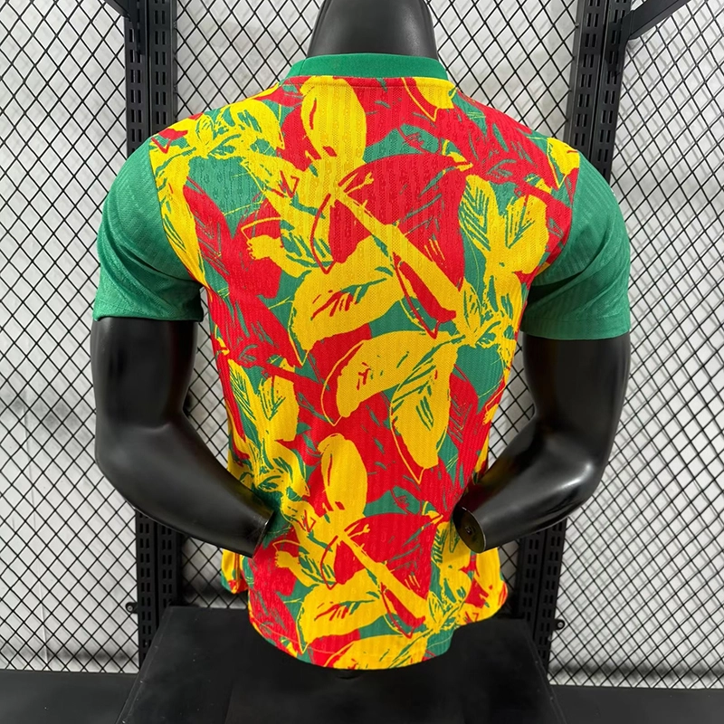 Player 2024-25 Senegal Special Edition Football jersey