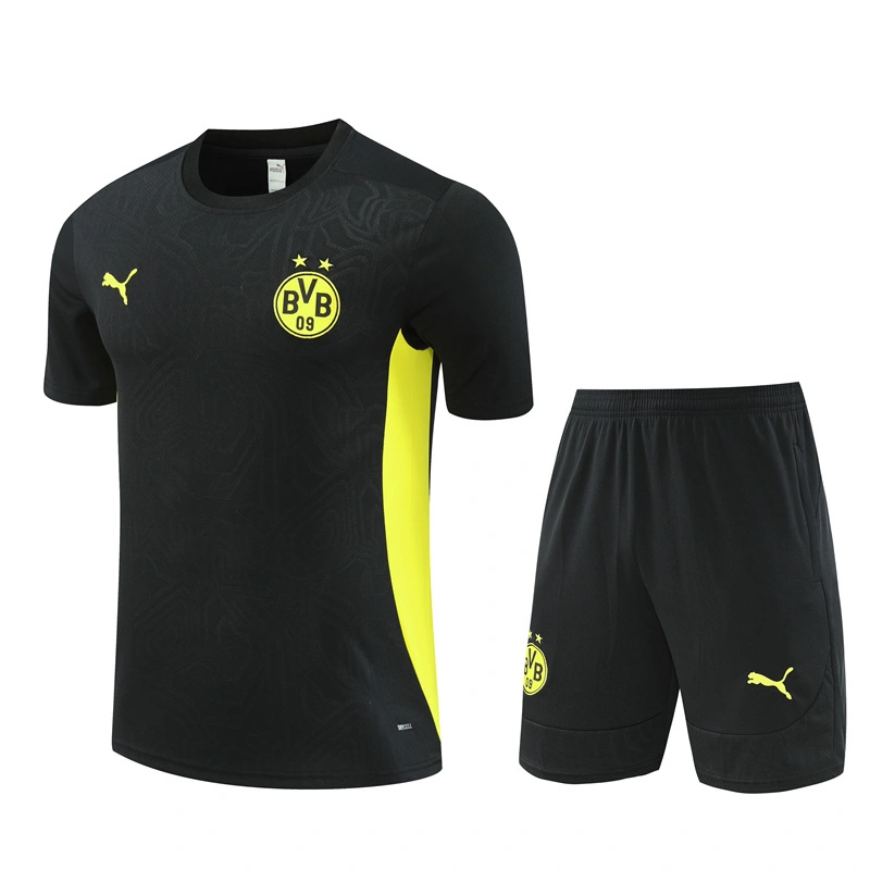 2024-25 Dortmund Short-sleeved training clothese