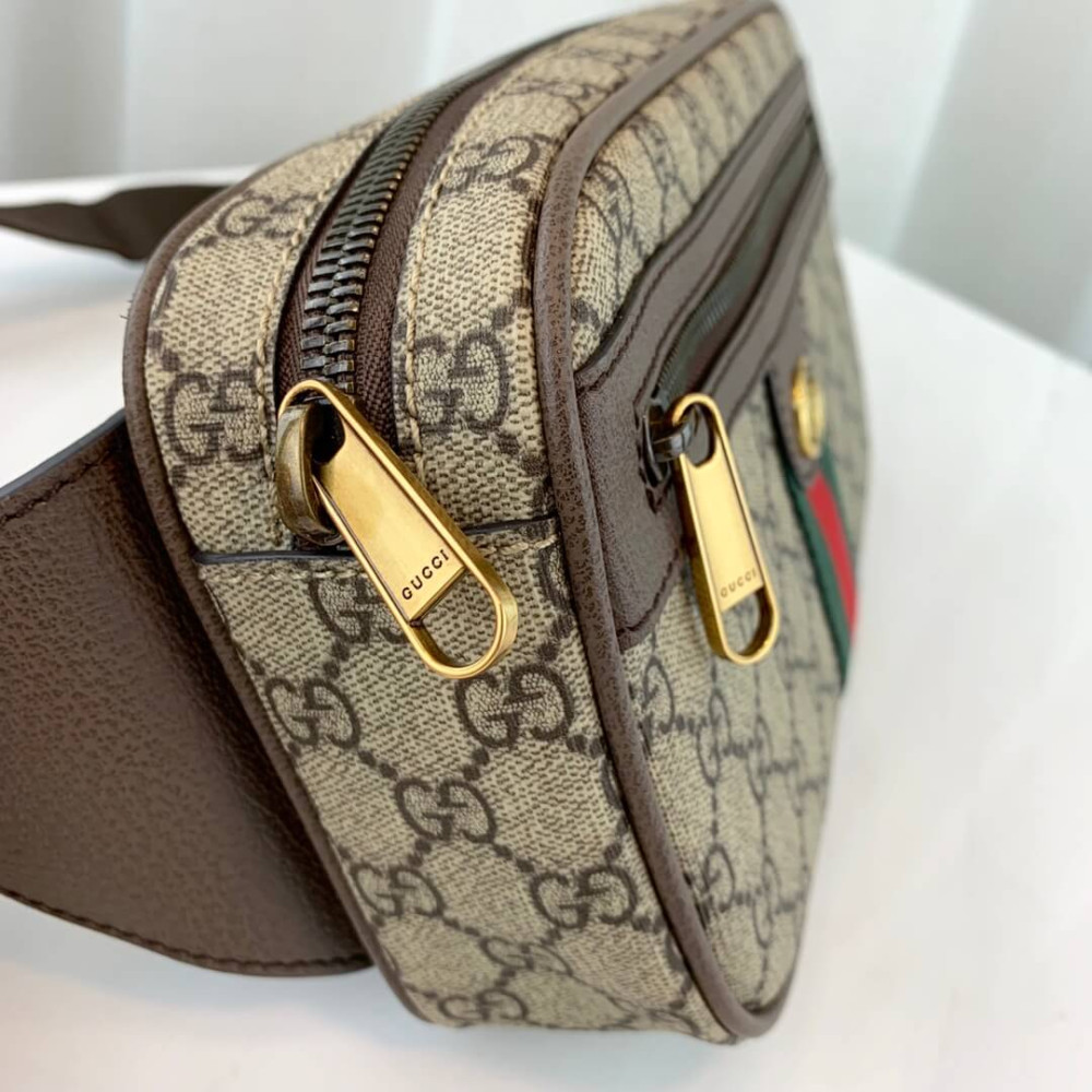 Gucci Ophidia GG Belt Bag