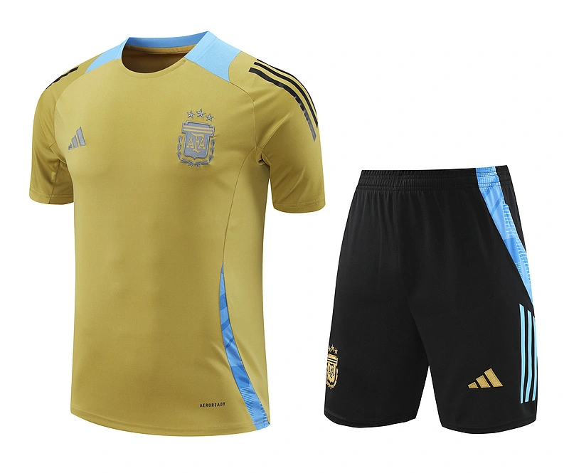 2024-25 Argentina Short-sleeved training clothese