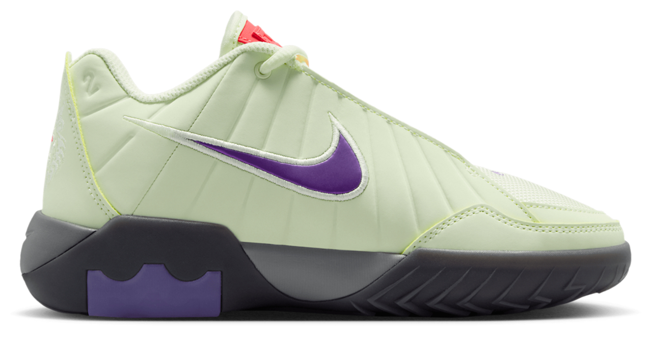 Nike Lebron Witness IX